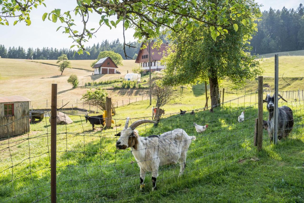 Klausenhansenhof Wolfach Ngoại thất bức ảnh